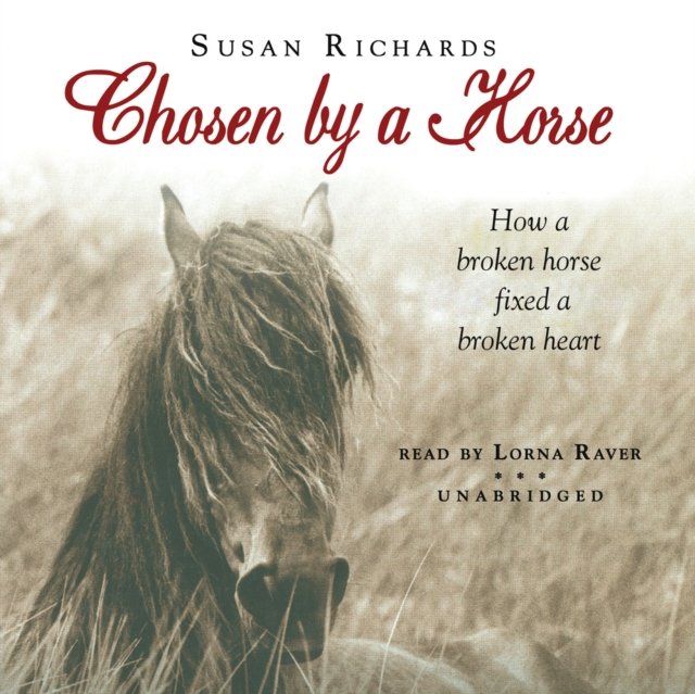 Broken horses. Susan Richards. Аудиокнига про лошадь девушка. I Break Horses.