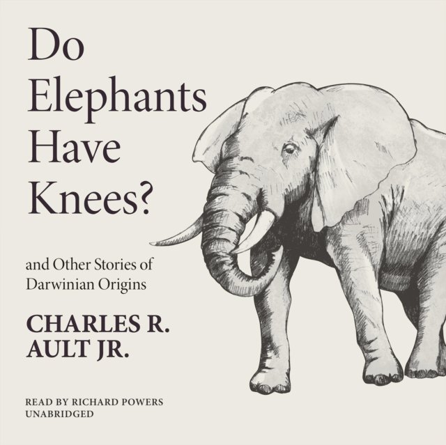 Elephants have got. У слона четыре колена. Elephant poem for Kids. У слона колени есть только спереди. Where do Elephants Live.