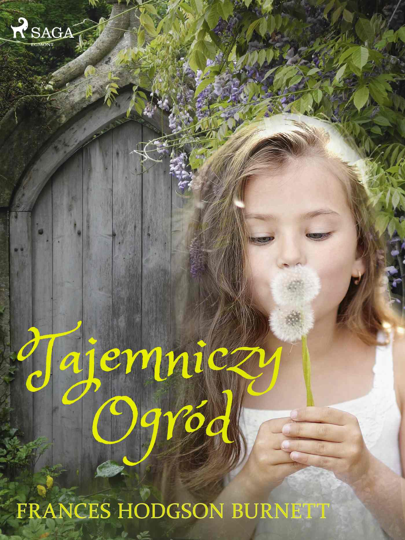 Tajemniczy Ogrod Frances Hodgson Burnett Ebook Virtualo Pl