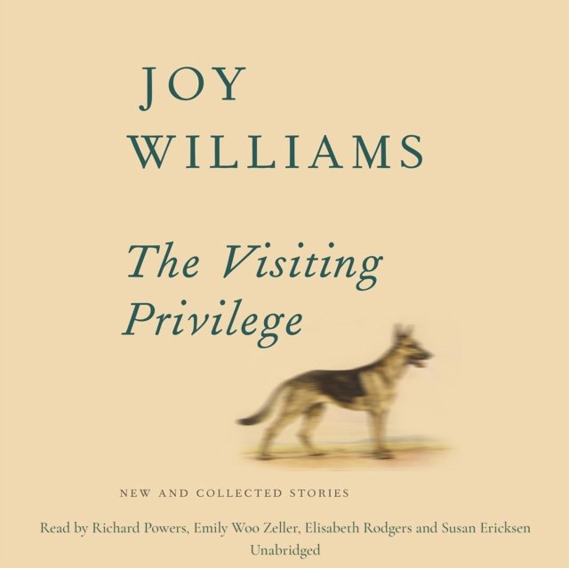 Visiting Privilege - Audiobook (Książka audio MP3) do pobrania w całości w archiwum ZIP