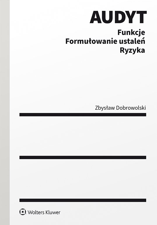 Audyt. Funkcje. Formułowanie ustaleń. Ryzyka - Ebook (Książka PDF) do pobrania w formacie PDF