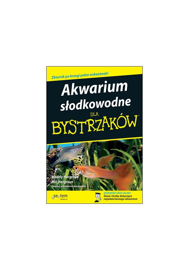 wytyczne dotyczące randek dla nastolatkówwczesne etapy umawiania się z mężczyzną