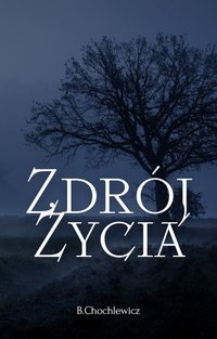 Zdrój Życia - Bartłomiej Chochlewicz - audiobook