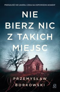 Nie bierz nic z takich miejsc - Przemysław Borkowski - ebook