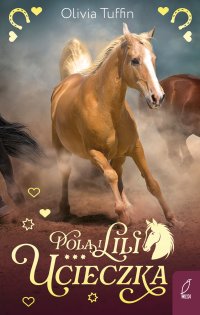 Pola i Lili. Ucieczka. Tom 1 - Olivia Tuffin - ebook