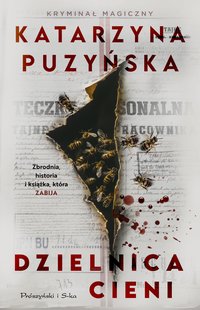 Dzielnica cieni - Katarzyna Puzyńska - ebook
