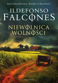 Niewolnica wolności - Ildefonso Falcones - ebook