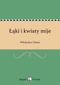 Łąki i kwiaty mije - Władysław Orkan - ebook