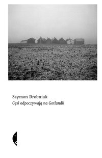 Gęsi odpoczywają na Gotlandii - Szymon Drobniak - ebook