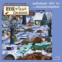 Rok w lesie. Grudzień - Dorota Suwalska - audiobook