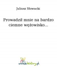 Prowadził mnie na bardzo ciemne wężowisko... - Juliusz Słowacki - ebook