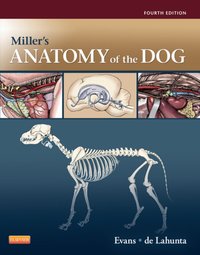 Miller's Anatomy of the Dog - E-Book [DRM] - Howard E. Evans - ebook