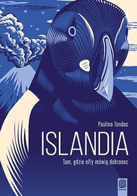 Islandia. Tam, gdzie elfy mówią dobranoc - Paulina Tondos - ebook