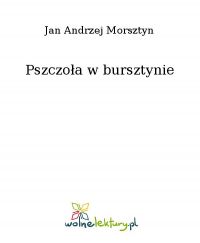 Pszczoła w bursztynie - Jan Andrzej Morsztyn - ebook