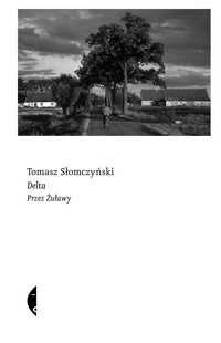 Delta - Tomasz Słomczyński - ebook