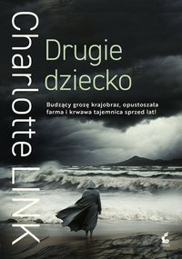 Drugie dziecko - Charlotte Link - ebook
