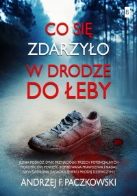 Co się zdarzyło w drodze do Łeby - Andrzej F. Paczkowski - ebook