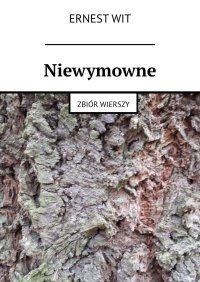 Niewymowne - Ernest Wit - ebook