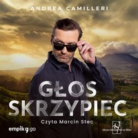 Głos skrzypiec - Andrea Camilleri - audiobook