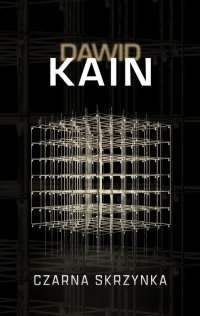 Czarna skrzynka - Dawid Kain - ebook