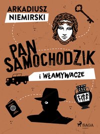 Pan Samochodzik i włamywacze - Arkadiusz Niemirski - ebook