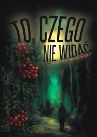To czego nie widać - Bartek Bikowski - ebook