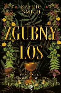 Zgubny los - Kaylie Smith - ebook