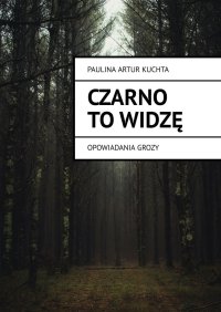 Czarno to widzę - Paulina Kuchta - ebook