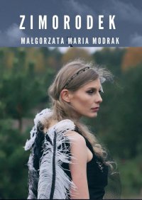 Zimorodek - Małgorzata Modrak - ebook