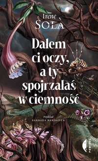Dałem ci oczy, a ty spojrzałaś w ciemność - Irene Solà - ebook