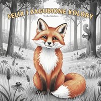 Felix i zagubione kolory - Monika Harabasz - ebook