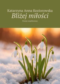 Bliżej miłości - Katarzyna Koziorowska - ebook