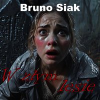 W złym lesie - Bruno Siak - audiobook