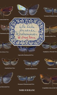 Wycieczka do Szerszeniowiec - Lidia Kośka - ebook