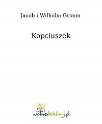 Kopciuszek - Wilhelm Grimm - ebook