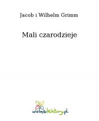 Mali czarodzieje - Jacob Grimm - ebook