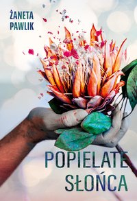 Popielate słońca - Żaneta Pawlik - ebook