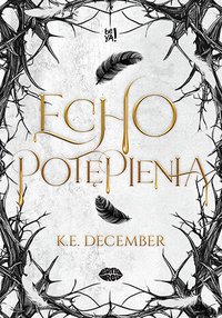Echo potępienia - K.E. December - ebook