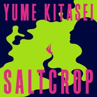 Saltcrop - Yume Kitasei - audiobook