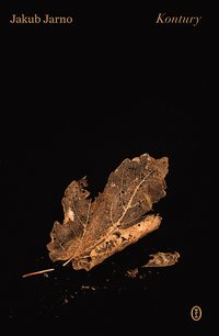 Kontury - Jakub Jarno - ebook
