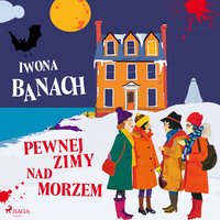 Pewnej zimy nad morzem - Iwona Banach - audiobook