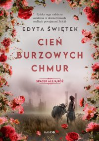 Cień burzowych chmur - Edyta Świętek - ebook