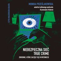 Niebezpieczna sieć. True crime. Zbrodnie, które zaczęły się w internecie - Monika Prześlakowska - audiobook