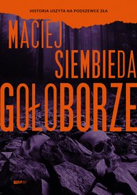 Gołoborze - Maciej Siembieda - ebook