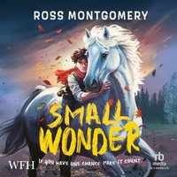 Small Wonder - Ross Montgomery - audiobook