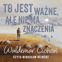 To jest ważne, ale nie ma znaczenia - Waldemar Cichoń - audiobook
