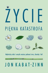 Życie, piękna katastrofa - Jon Kabat-Zinn - ebook