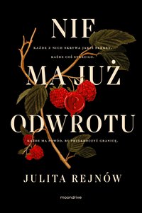 Nie ma już odwrotu - Julita Rejnów - ebook