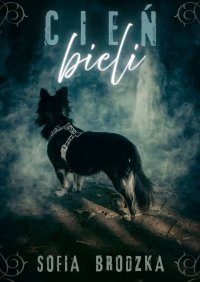 Cień bieli - Sofia Brodzka - ebook