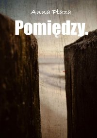 Pomiędzy. - Anna Płaza - ebook